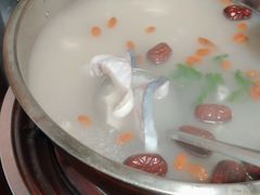 -鸭嘴鱼