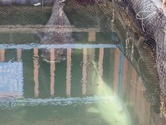 -蓝湾碧波·老字号·疍家非遗海上餐厅