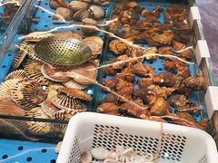 -大连湾旭日·家宴·海肠捞饭(马栏广场店)