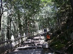 -普陀山慧济禅寺