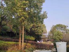 -山湖温泉