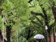 -中山大学广州校区南校园怀士堂