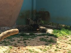 -无锡动物园·太湖欢乐园