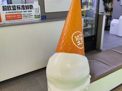 -野人先生现做冰淇淋(北京悠唐购物中心店)