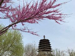 -天宁寺