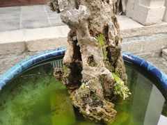 -月栖华明-云间草堂清茶馆(泗泾古镇店)