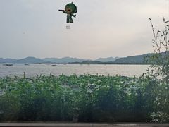 -湖畔居茶楼(湖滨店)