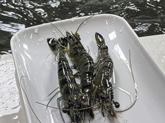 -养牛邓·潮汕牛肉海鲜自助火锅(广州店)