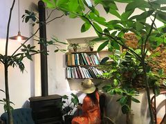 -植觉