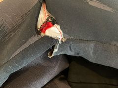 -布瑞琳洗衣(望京万象汇店)