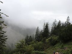 -维乐口腔医院(星海湾分院)