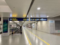 -上海浦东国际机场-T2航站楼