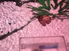 -沈阳海洋探索中心