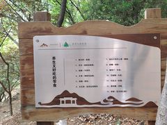 -石老人观光园
