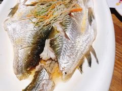 清蒸白鱼-穆桂英美食(城中店)