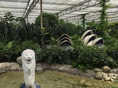 -南宫五洲植物乐园