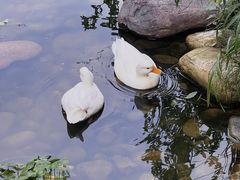 -北京张裕爱斐堡酒庄