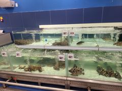 -盒马X会员店(上海森兰商都店)
