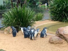 -费瑟代尔野生动物园