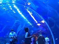 -成都浩海立方海洋公园