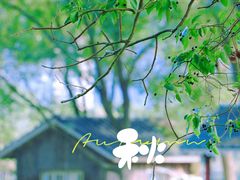-金银湖国家城市湿地公园