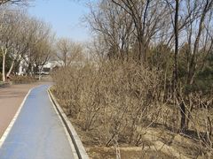 -滨河世纪广场公园