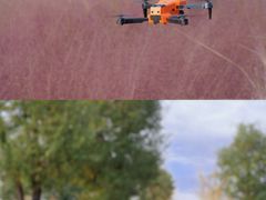 -汉长安城未央宫国家考古遗址公园