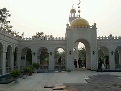 -武清南湖绿博园