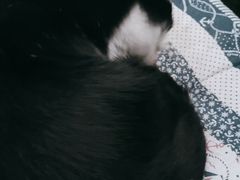 -艾加柒克蛋糕茶歇甜品台(春熙路店)