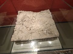 -南越王博物院(王宫展区)