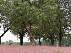 -汉长安城未央宫国家考古遗址公园