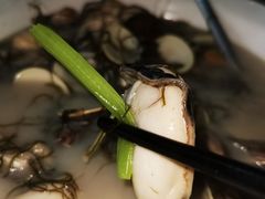 沙白海草汤-台山美食一绝阿四台山黄鳝饭(阿四创作店)