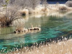 -九寨沟-树正沟