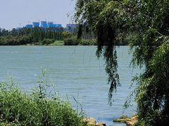 -捞渔河湿地公园