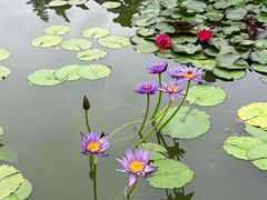 -国家植物园南园