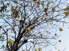 -串小白烧烤(金沙洲店)