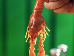 -黄鱼炙夜·烧烤·小龙虾(世茂缤谷店)