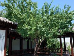 景观位-信园