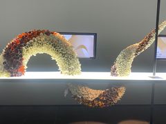 -上海虹桥中心爱琴海亚朵S酒店