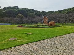 -苏州上方山国家森林公园
