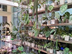 -天津君隆威斯汀酒店