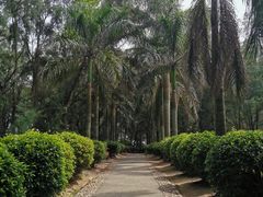 -宋井风景区