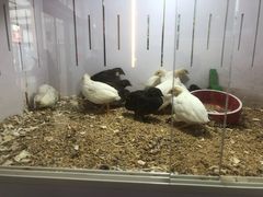 -三旗百汇商品城