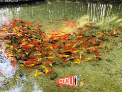-竹泉村旅游度假区