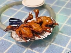 -石岐乳鸽村(南海第三分店)