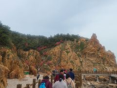 -长岛万鸟岛