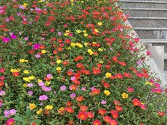 -上海理工大学出版印刷高等专科学院-学生食堂