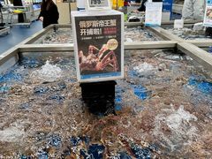 -盒马X会员店(上海森兰商都店)