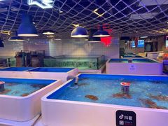 水产区-日进一片海.生腌海鲜火锅.宵夜烧烤(三里屯总店)