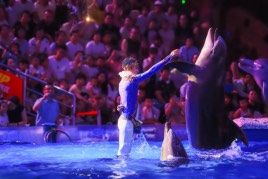 -大连圣亚海洋世界